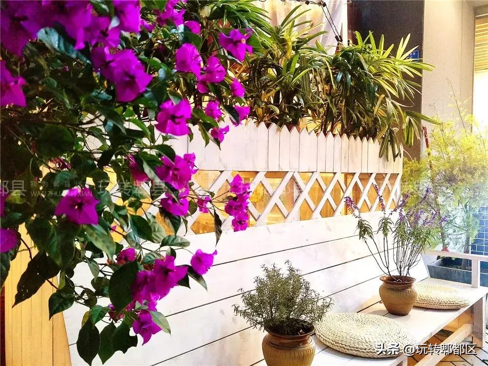 暹香泰茶是不是真实的,暹香泰茶