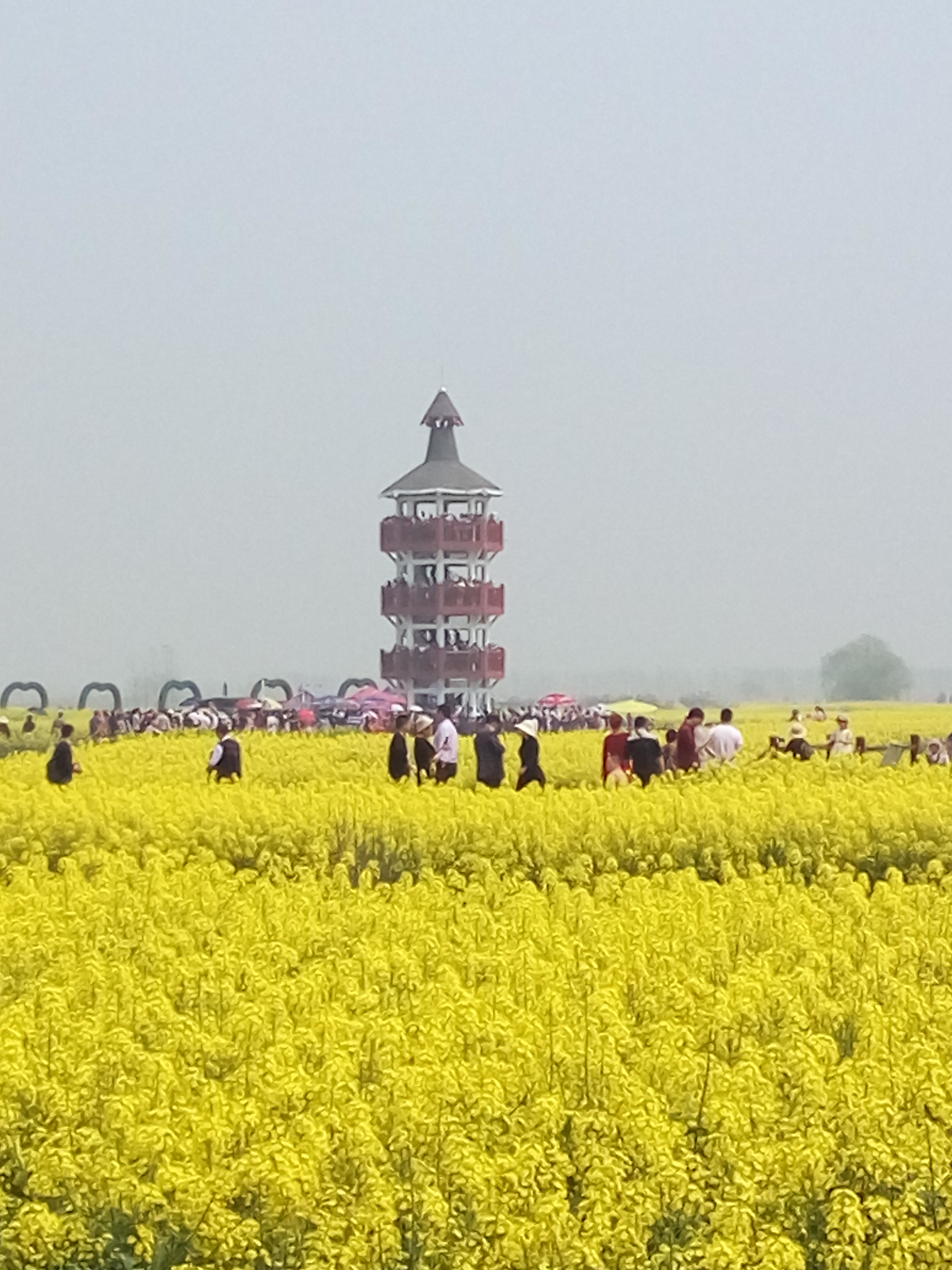 泰州文化和旅游发展改革规划,泰州文化旅游开发