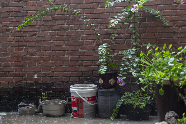 一个离家出走的少年结局,一个离家出走的少年