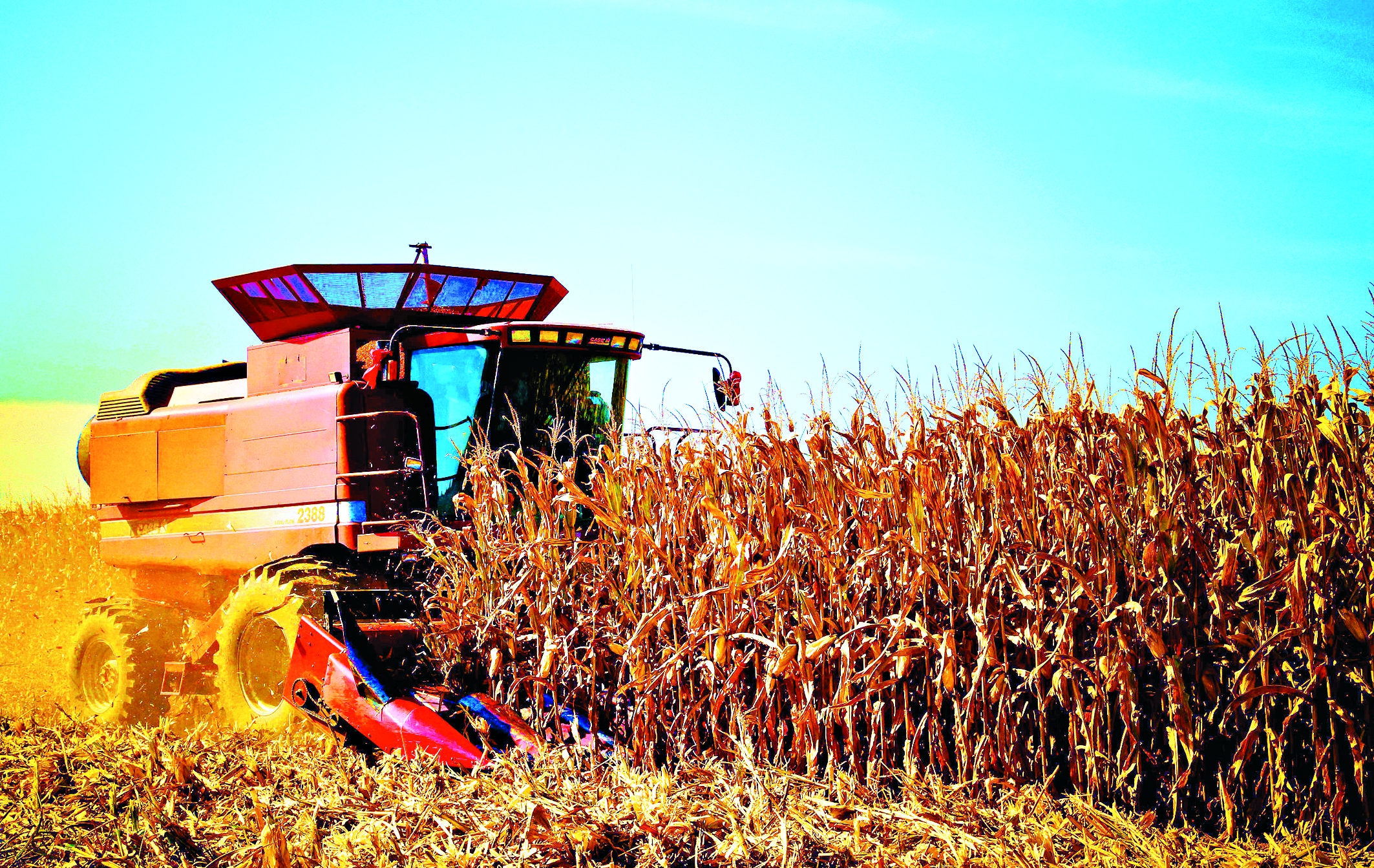 马云又一次预言，下一个致富风口在农村！这5大机遇别再错过