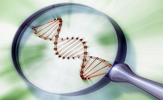 医院癌症筛查,癌症筛查小程序