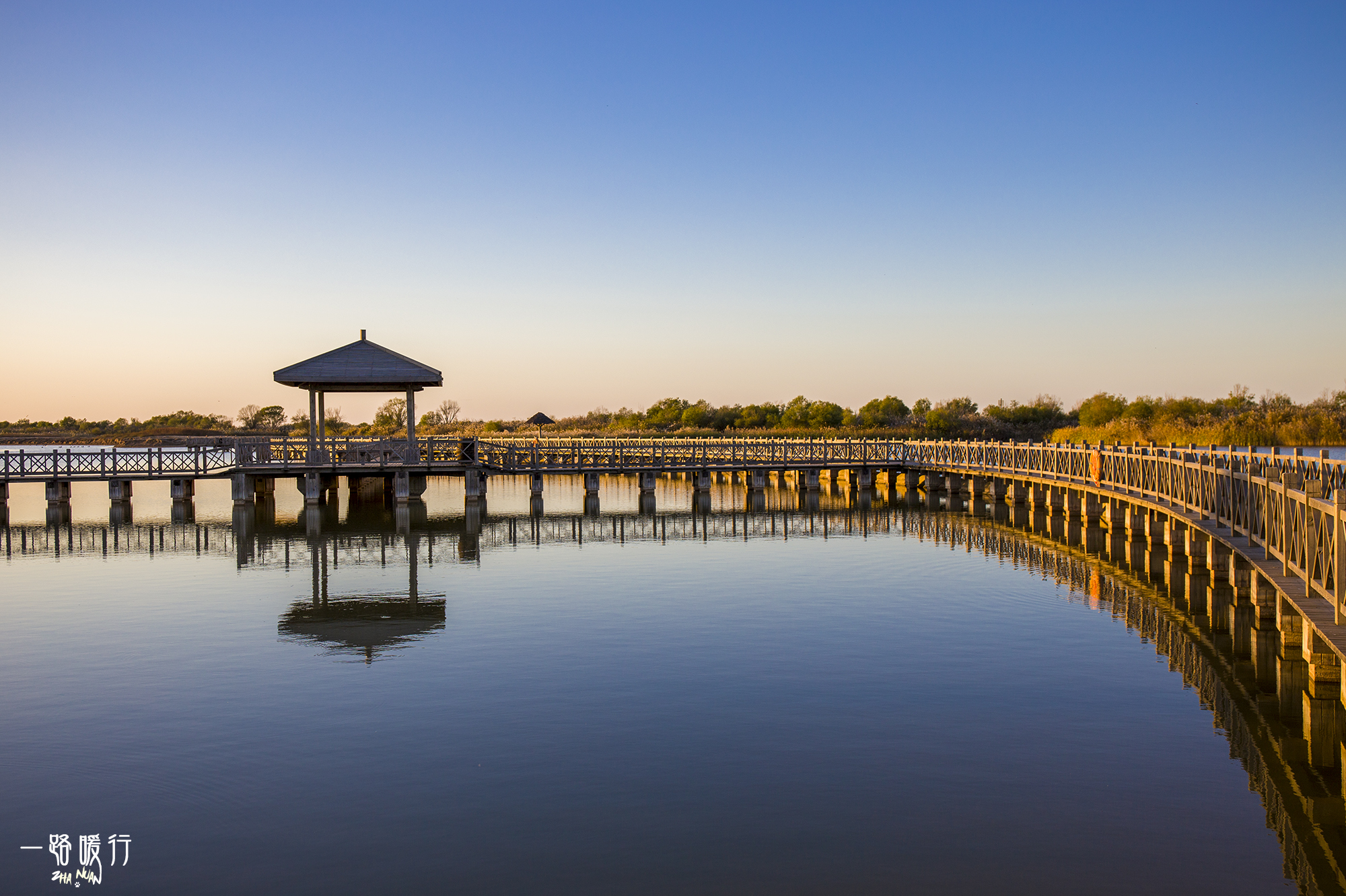 山东黄河入海城市,山东黄河去哪里看最壮观