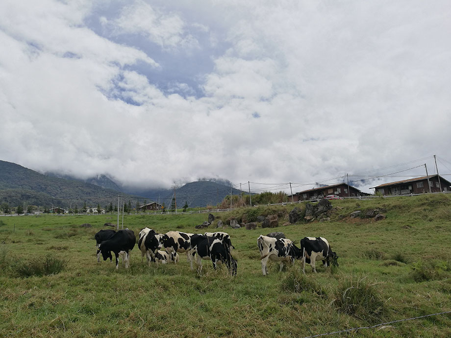 沙巴攻略详细介绍 (沙巴8天攻略)