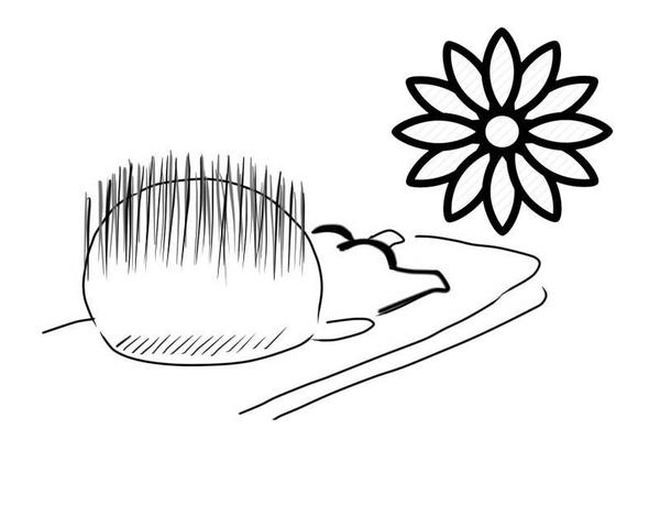 内痔最怕的一个偏方和土方法,一招治内痔