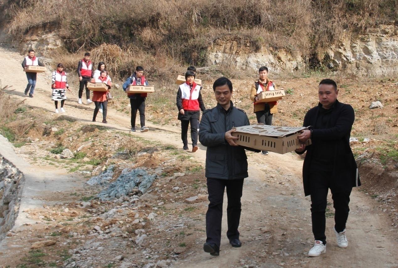 宜昌农村小伙返乡养殖黑鸡,回乡养本地黑鸡的90后小伙