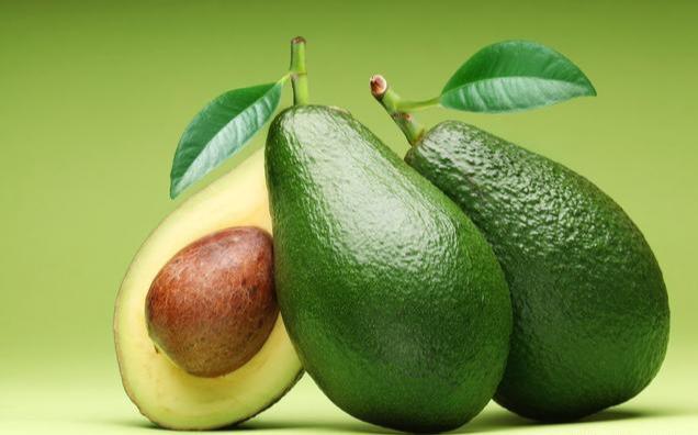 狗狗禁止吃的20种食物列表,狗狗不能吃的6种蔬果养狗须知