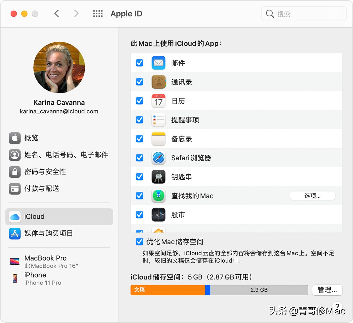 mac启动显示efi,mac启动出现错误报告