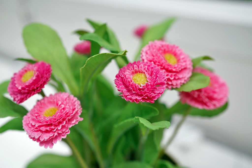 蔡司batis50-1.4镜头评测,蔡司batis镜头18-2