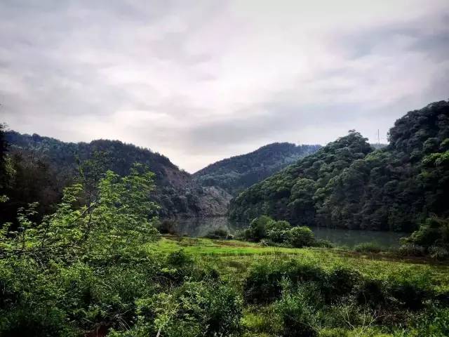 武夷山德懋堂|270万起旅居武夷山临溪别墅，遍访先贤遗迹！看云海、逛古村、品香茗，每天都生活在山水画中