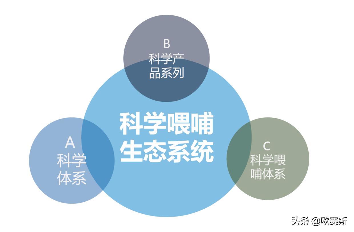 欧赛斯品牌全案案例分享,欧赛斯家居品牌全案