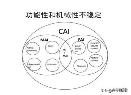 踝关节不稳的发生机制、康复训练及预防