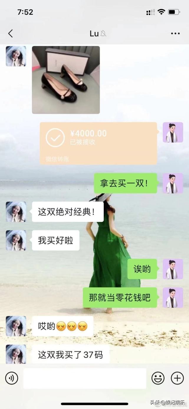 陈岚谈霍尊事件,陈岚对霍尊事件的看法