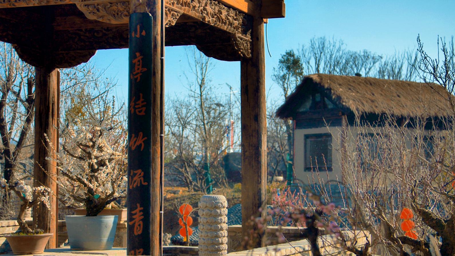 安心居家欣赏美景,郑州二七区樱桃沟管委会美丽乡村