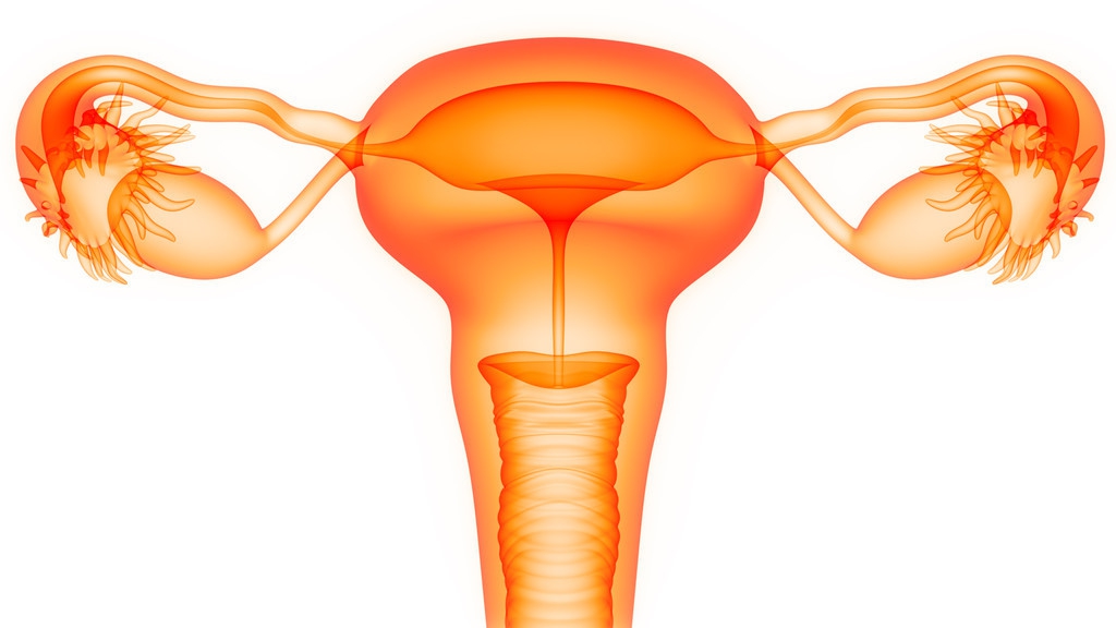 我是女生,没有阴道和子宫