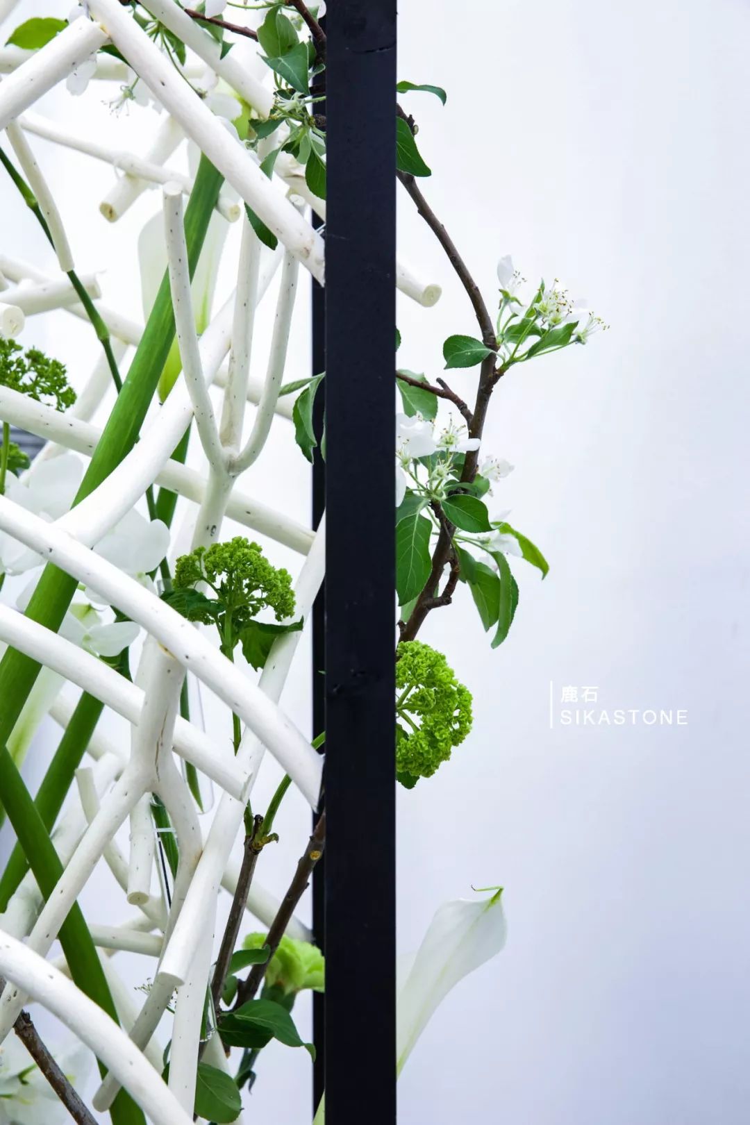 2018最热门的新技术盘点,盘点最强的掌法