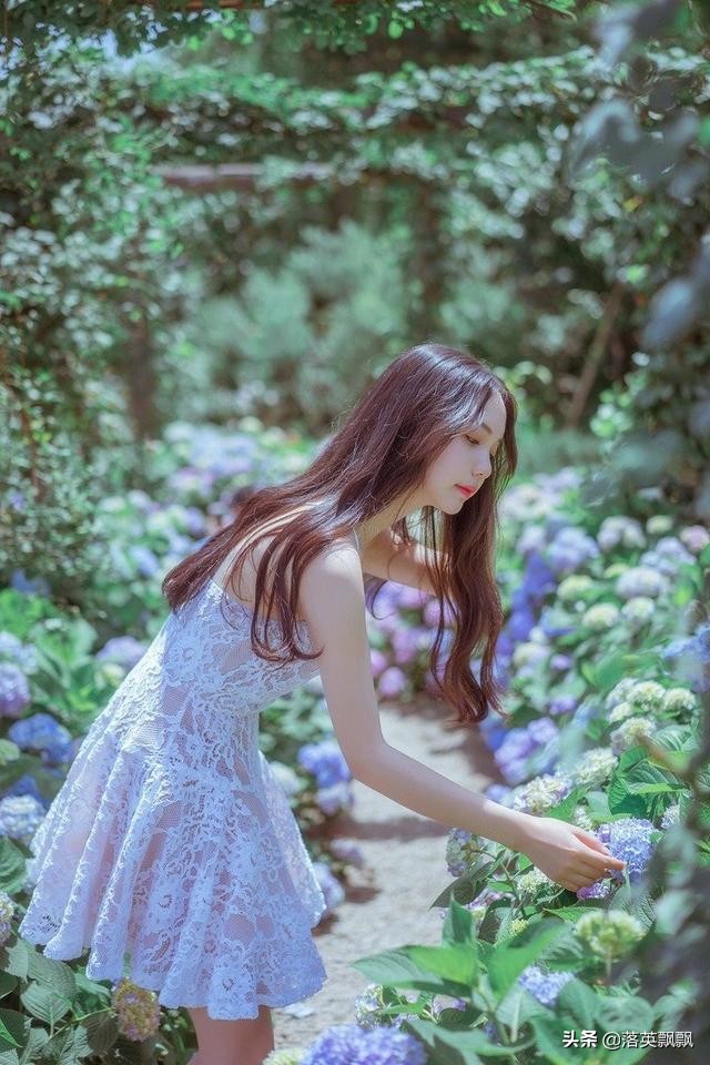 落英悠然经典诗句,落英原创古风诗句