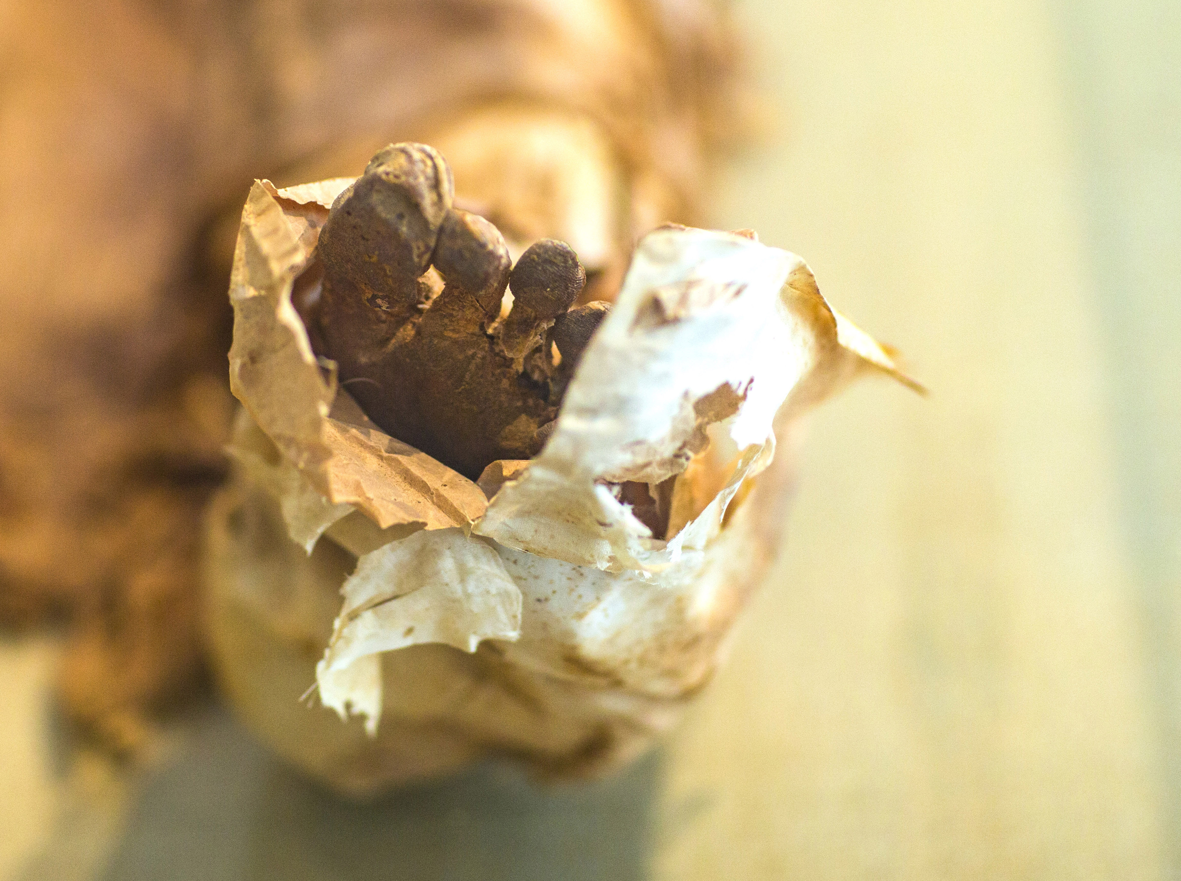 黄沙永恒,黄沙之下永恒的寂静