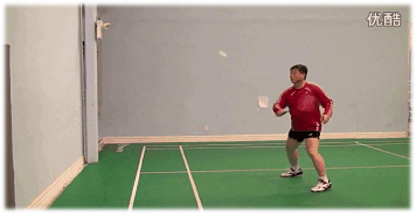 科学砰砰秀之弹力世界