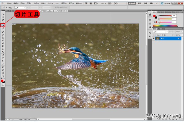 photoshop切片,photoshop切片工具怎样单独填充