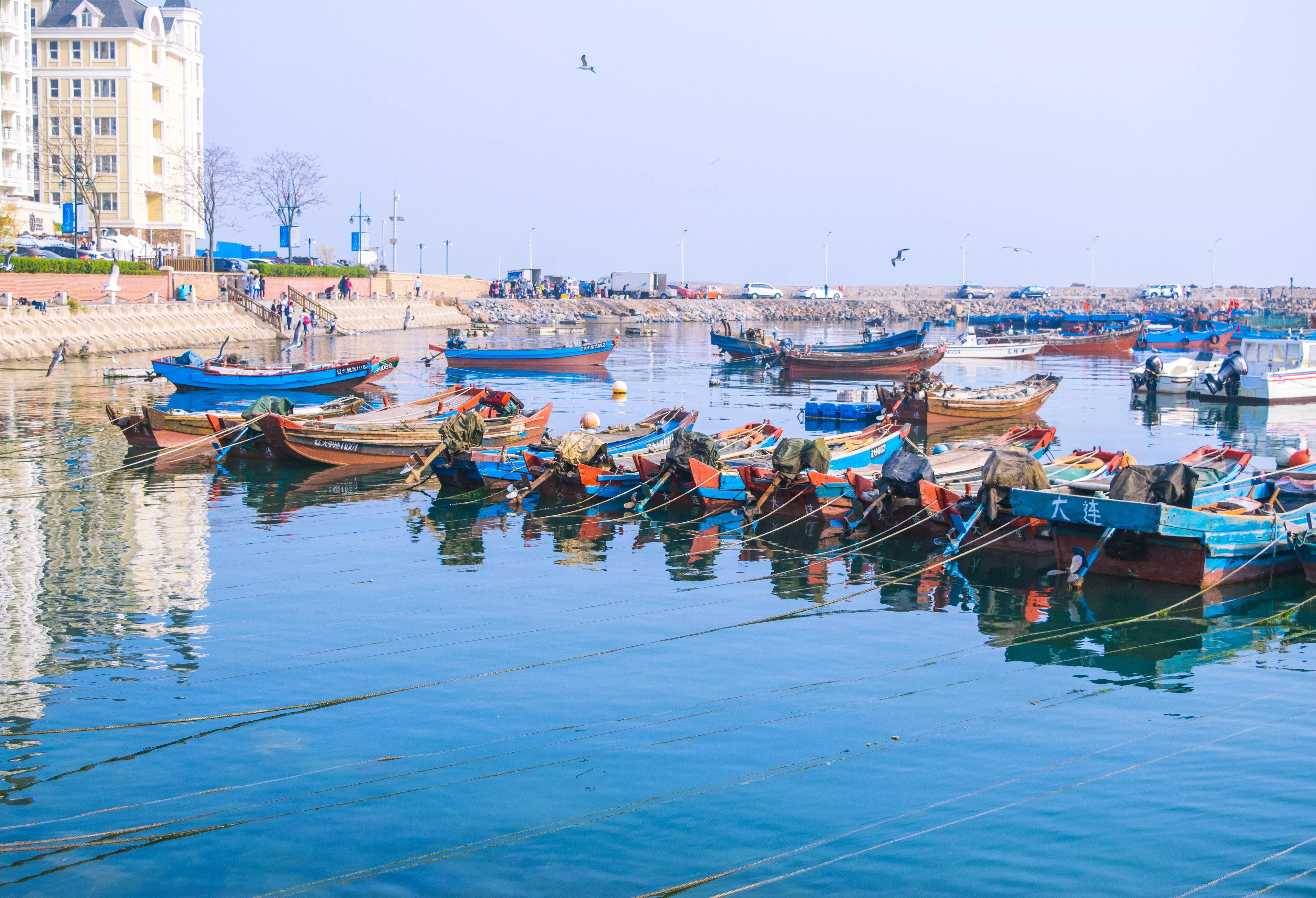大连必玩的十大景点,大连打卡必去网红景点