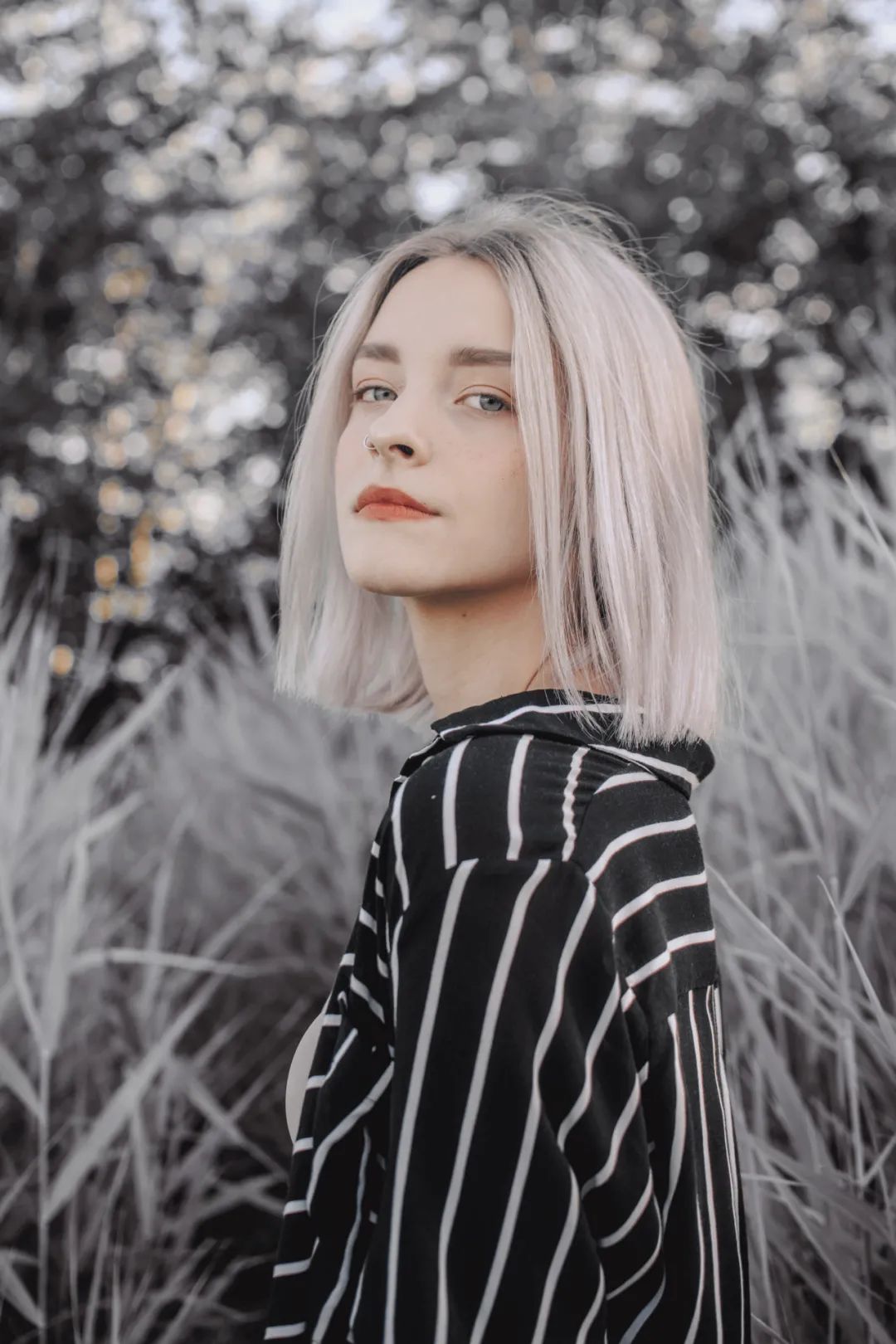 莫兰迪色绿色极致美感,莫兰迪蓝最惊艳的图