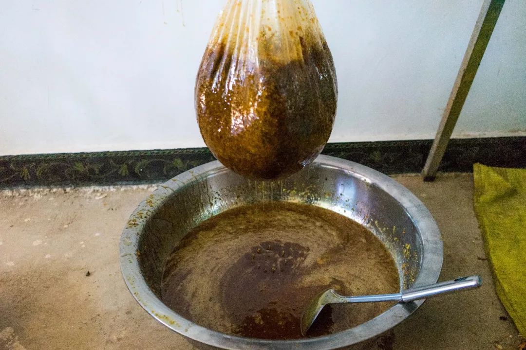 土蜂蜜取蜜全过程,土蜂蜜正确取蜜方法