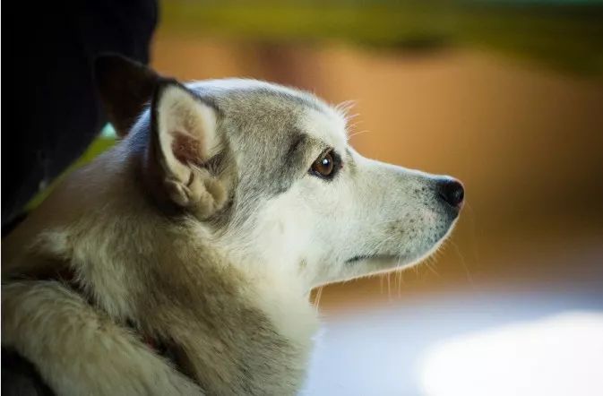 摄影景深和用光,摄影景深是什么意思