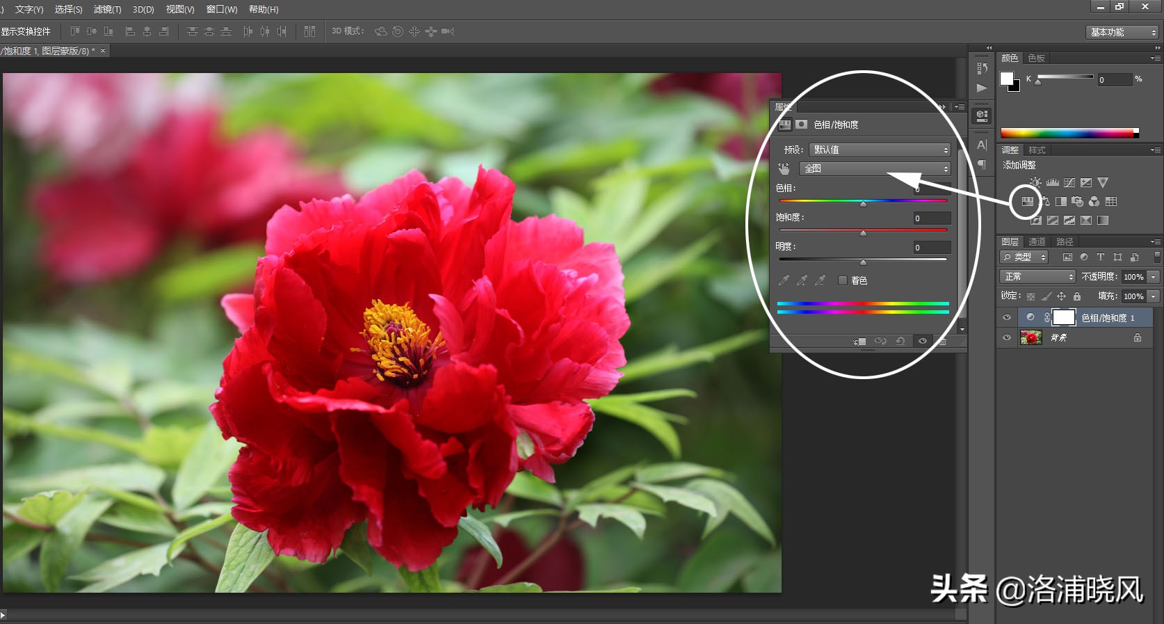 牡丹的名贵品种黑牡丹和绿牡丹,牡丹的稀有品种绿牡丹和黑牡丹
