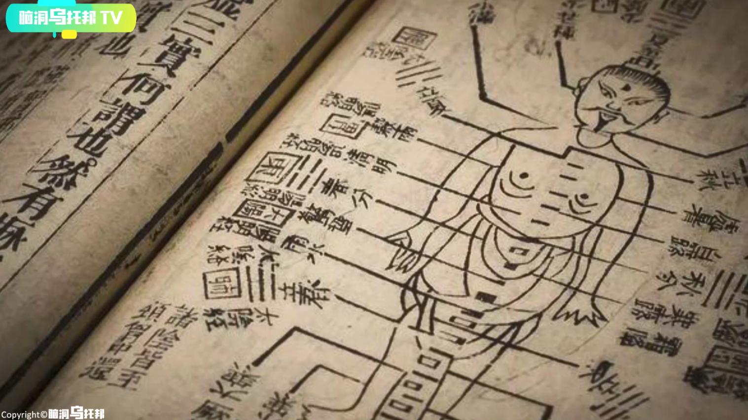 主宰人生死的隐藏器官,主宰生死的神秘器官