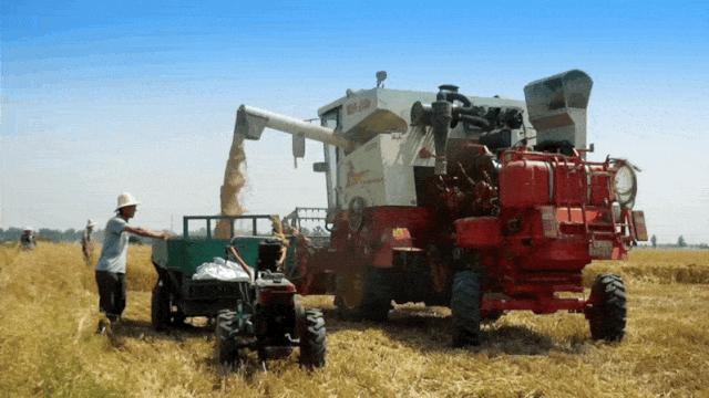 河南以什么出名,河南凭什么要当农业大省