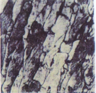 何为“锦？你知道形容美好的事物时，为啥都要用一个“锦”字吗？