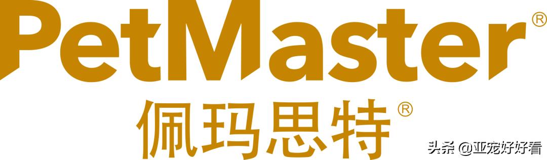 亚宠云课堂,比熊犬赛级妆造型