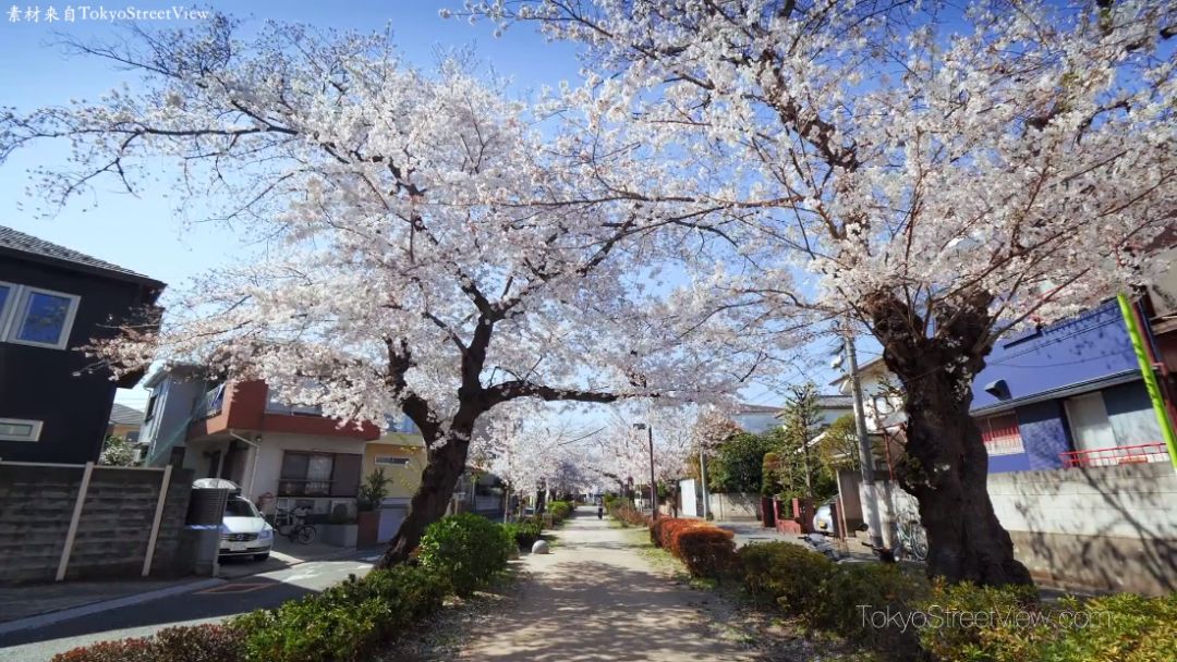 日本旅游详细攻略,日本旅游攻略初次去关西