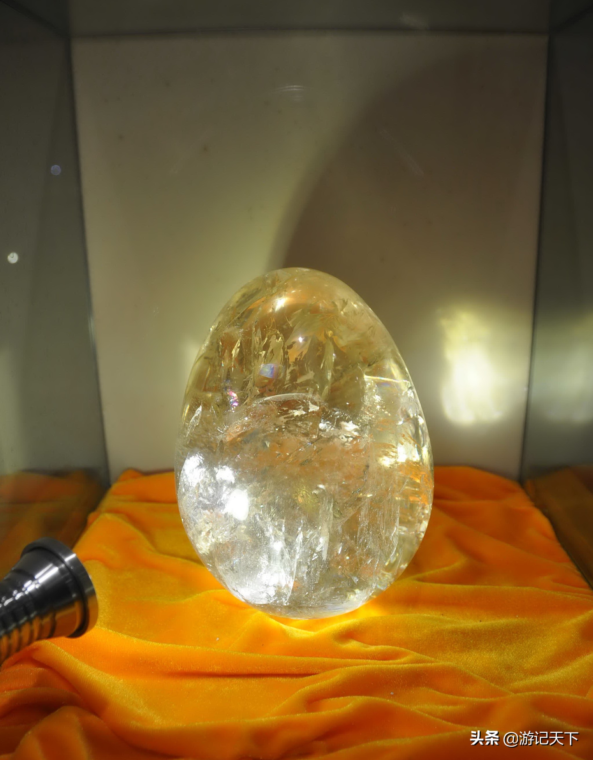 阿尼亚参观博物馆,上海地质科普馆游玩