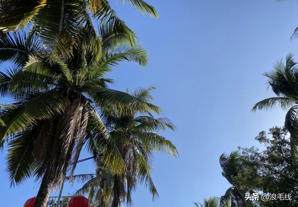 春节三亚好玩吗,春节过后三亚还有哪些值得去的