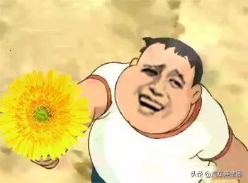 汽车鸟粪对车有什么影响,鸟屎对汽车有影响吗