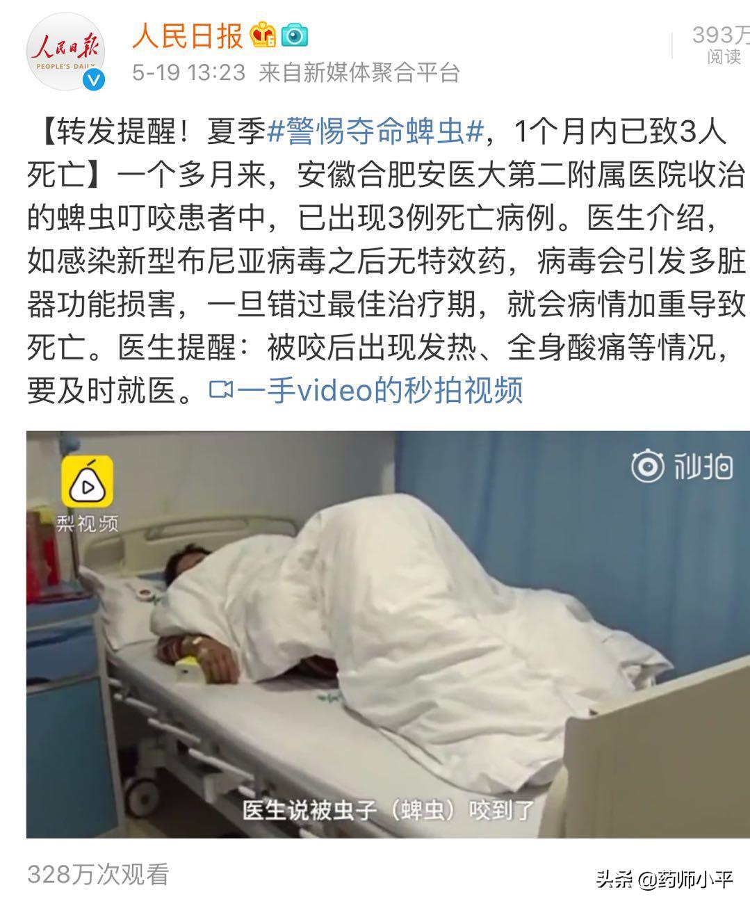 夏季蚊虫叮咬防不胜防怎么办?4个方法,让你从容应对蚊虫骚扰