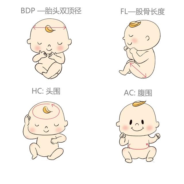 胎儿四维看哪几个指标,孕期做四维宝宝能看清楚吗