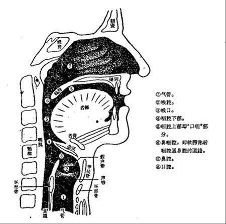 唱歌舌头怎么放口诀,唱歌时舌头怎样最适合