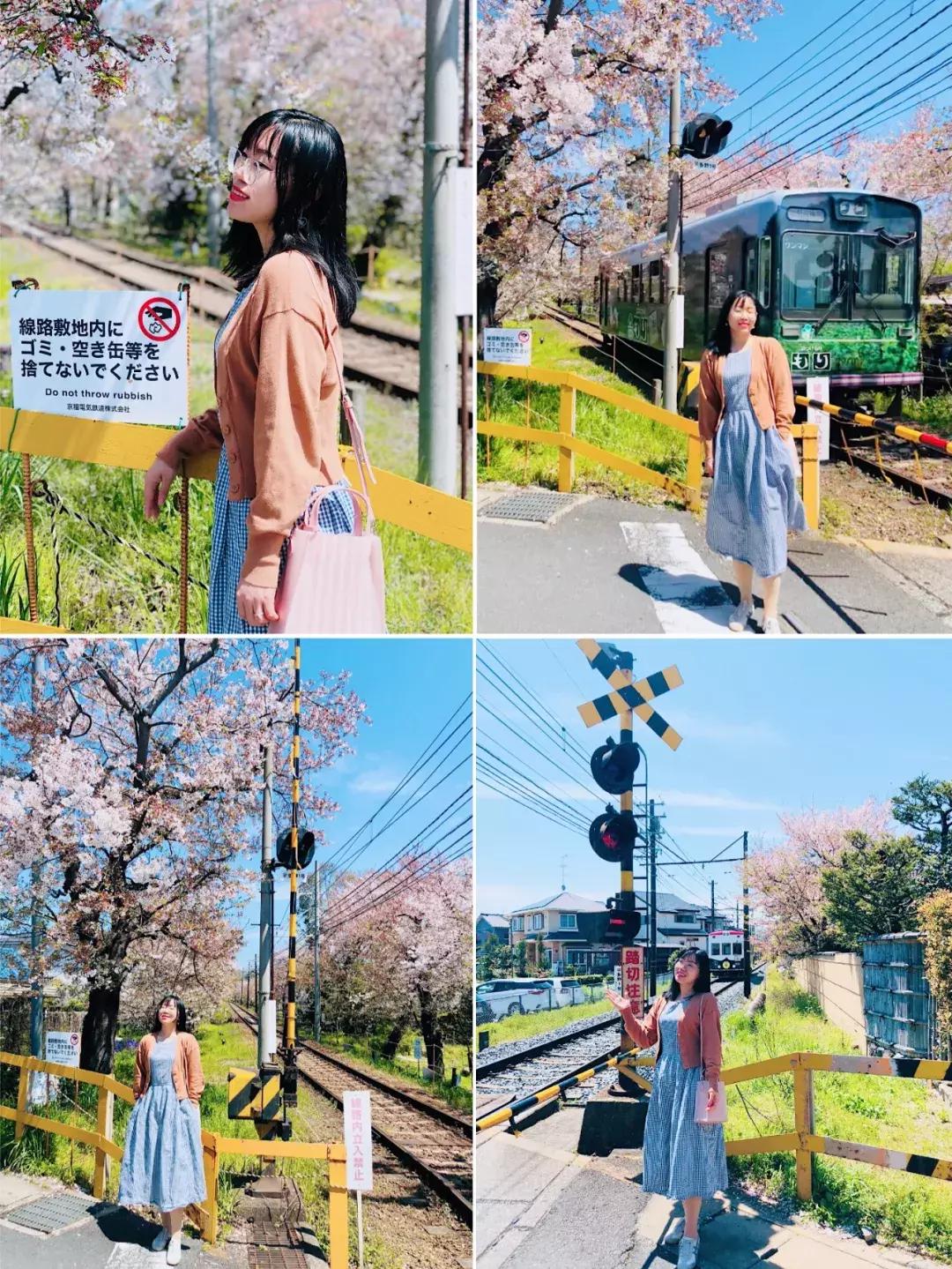 #Lili travel #日本樱花季之旅，畅游东京、京都、大阪！