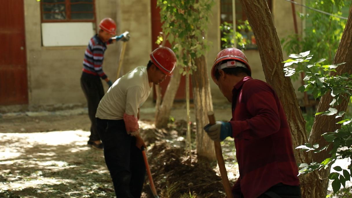 瓜州老旧小区改造名单,瓜州老旧小区改造