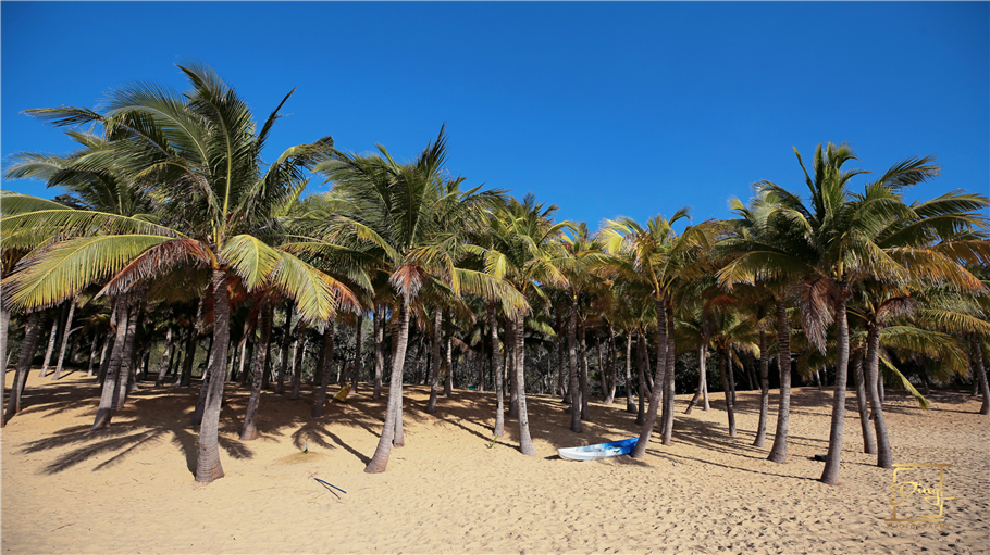 陵水猴岛与呆呆岛之旅,三亚猴岛呆呆岛有必要去吗