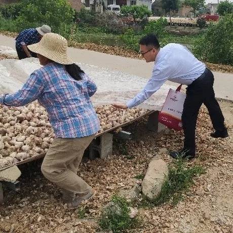 真情服务助“蒜季”，播洒惠农“及时雨”
