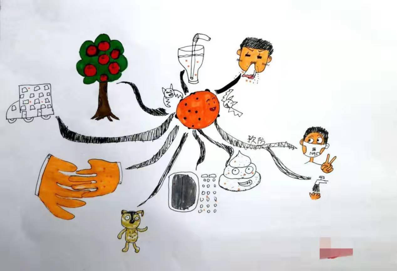 韩红为公益捐出全部家底,韩红捐了56亿是真的吗