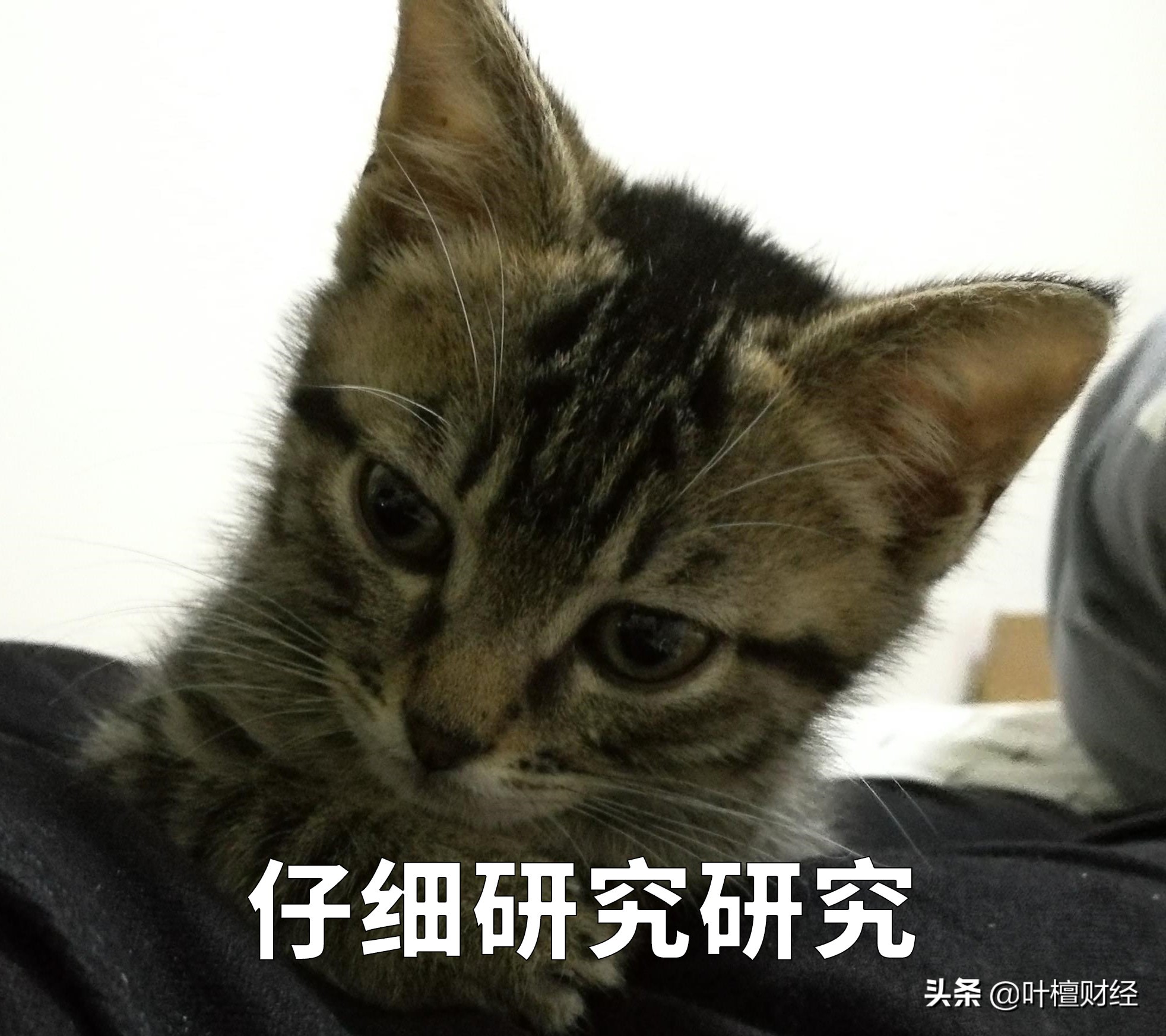 叶檀说股市降息,叶檀谈降息视频