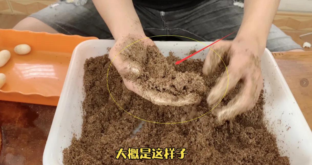 黄缘龟蛋孵化多久才能出来,金钱龟龟蛋孵化全过程