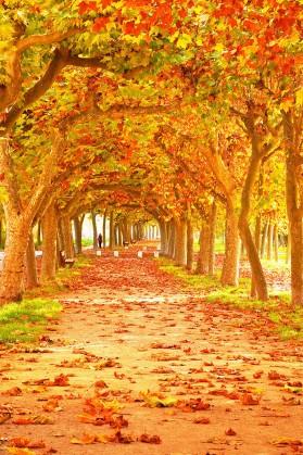 抗生素不良反应,各类抗生素药的不良反应