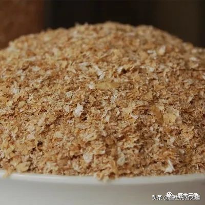 蝇蛆钓鲫鱼效果,蛆虫钓鱼用什么饵料