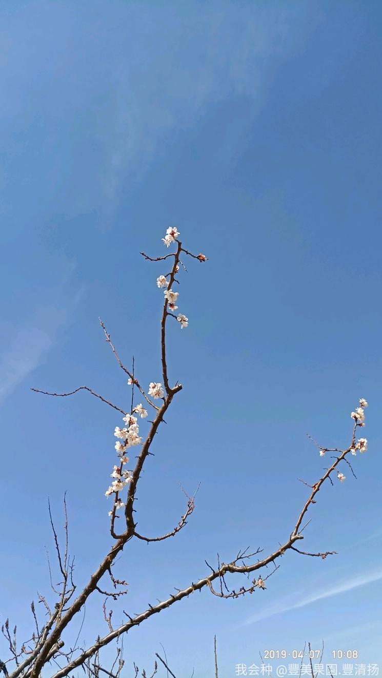 诗和远方在身边完整版,诗和远方在身边