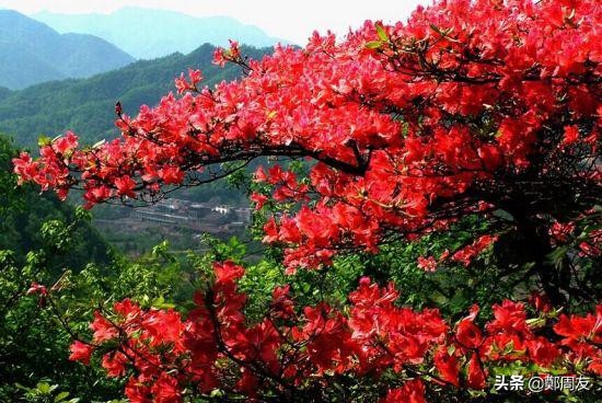 河南新乡辉县郭亮村旅游胜地,河南最美风景旅游胜地